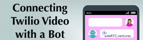 Connecting Twilio Video with a Bot