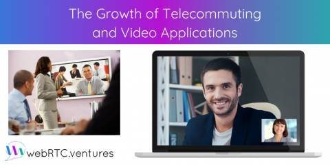 The Growth of Telecommuting and Video Applications