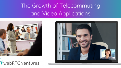 The Growth of Telecommuting and Video Applications