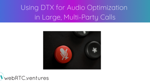 Using DTX for Audio Optimization in Large Multi-Party Calls