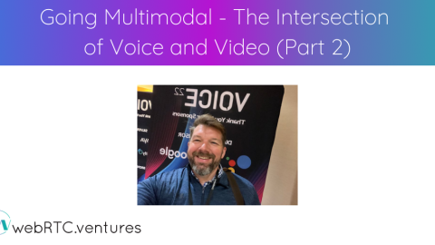 Going Multimodal – The Intersection of Voice and Video (Part 2)