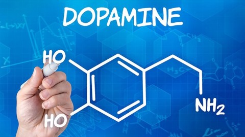Developer Dopamine