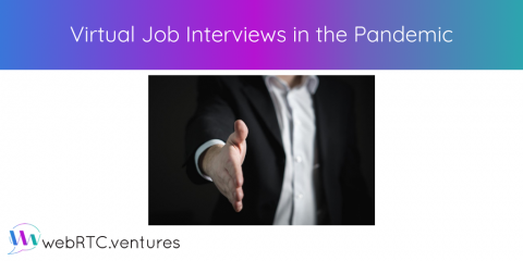 Virtual Job Interviews in the Pandemic
