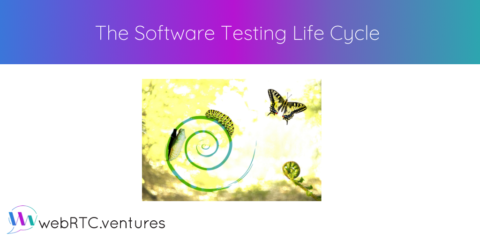 The Software Testing Life Cycle