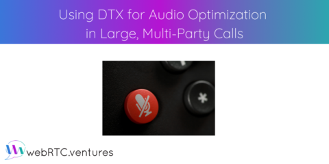 Using DTX for Audio Optimization in Large Multi-Party Calls